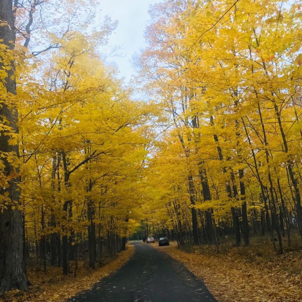 Meet your Posher, Leslie